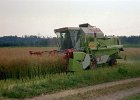 Claas Drescher 18